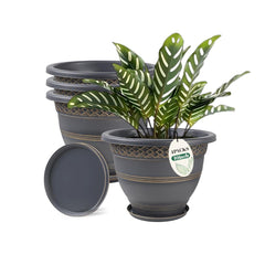 Usocik gold plaid front view showing four matching pots and saucers for cohesive styling