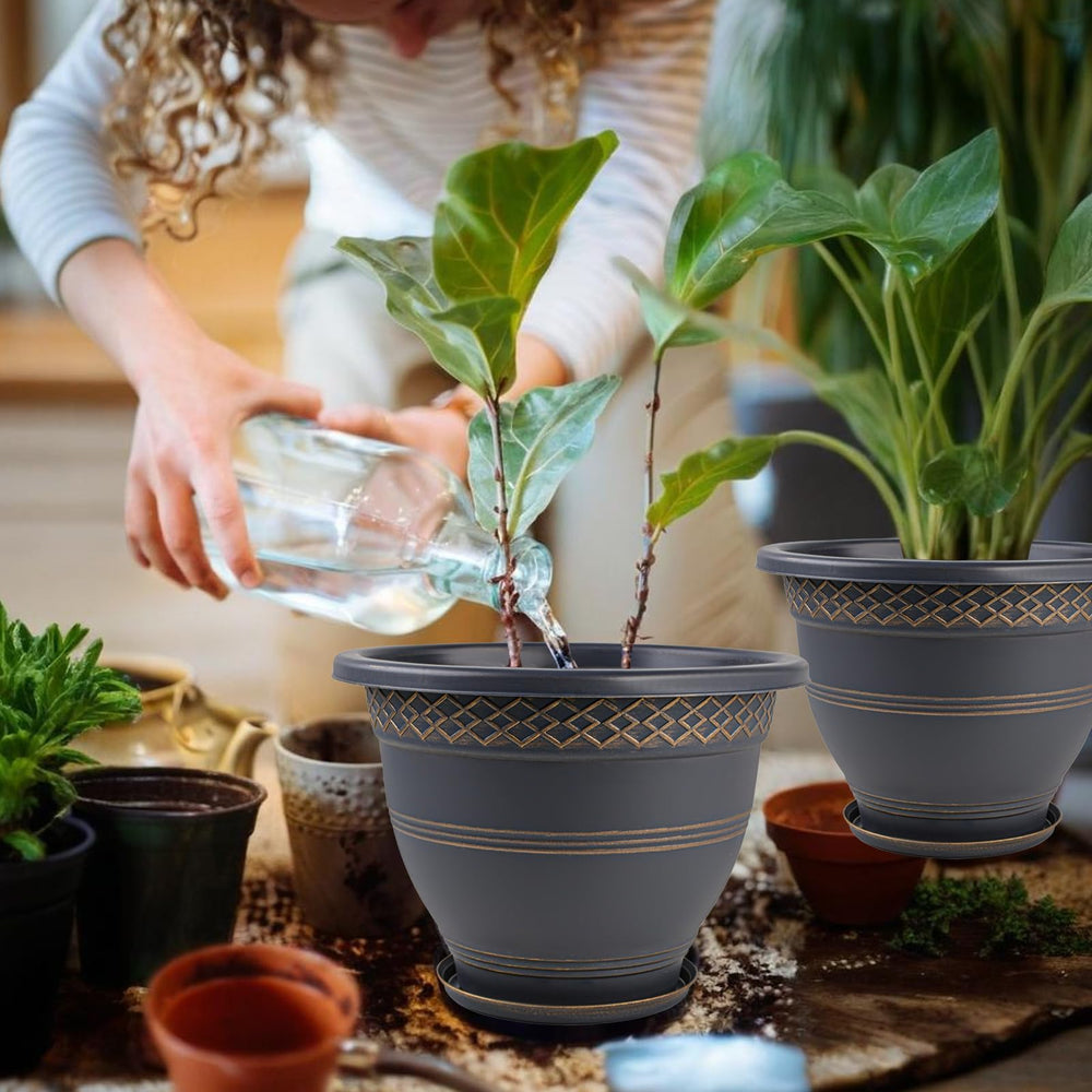 Usocik pot beside common objects to show 10 inch scale for correct plant fit