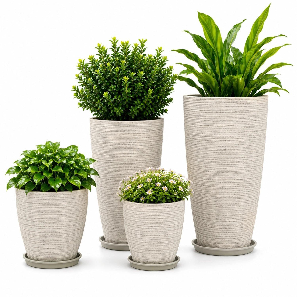 Usocik front view of four beige matte planters showing cohesive set and curb appeal