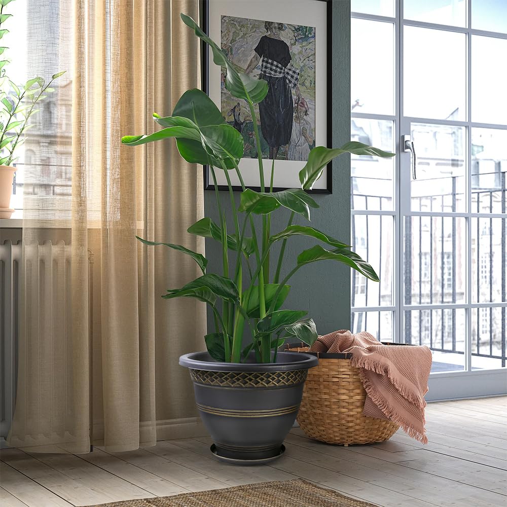 Usocik planter beside door showing 16 inch scale and proportion