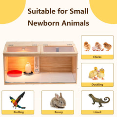UYDJKLS interior with chicks on bedding illustrating safe, warm environment and clear visibility