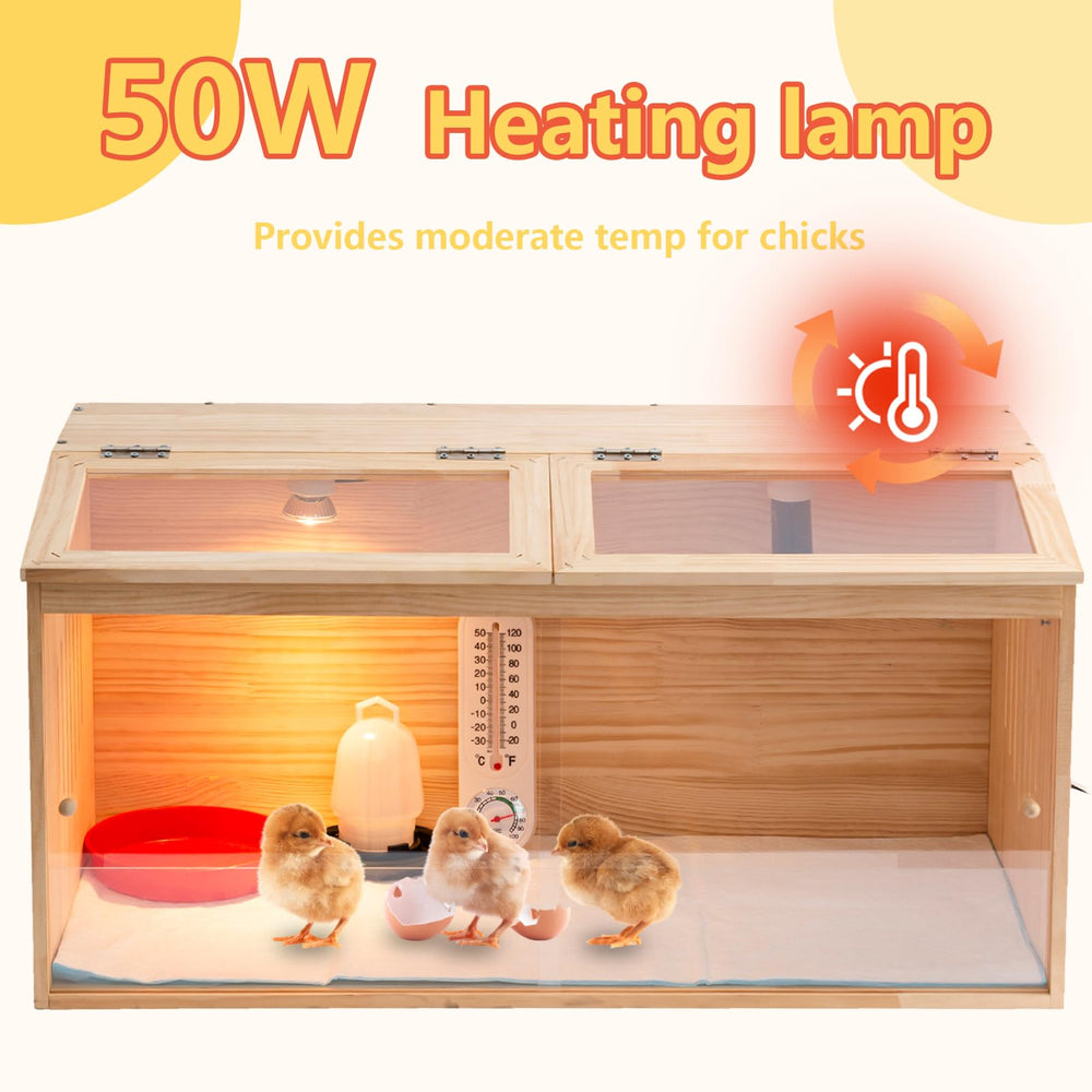 UYDJKLS brooder in classroom backyard setting demonstrating educational use and compact footprint