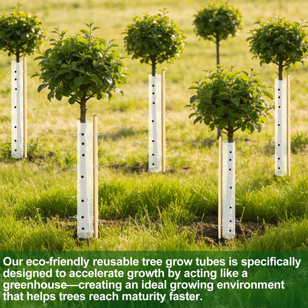 Uyeesi installed tree tube in garden illustrating long-term protection benefit