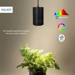 VALIKIY illuminating indoor plants in a living room demonstrating healthy visual color