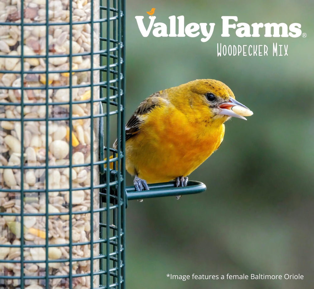 Valley Farms attracting woodpecker and songbirds to a backyard feeder