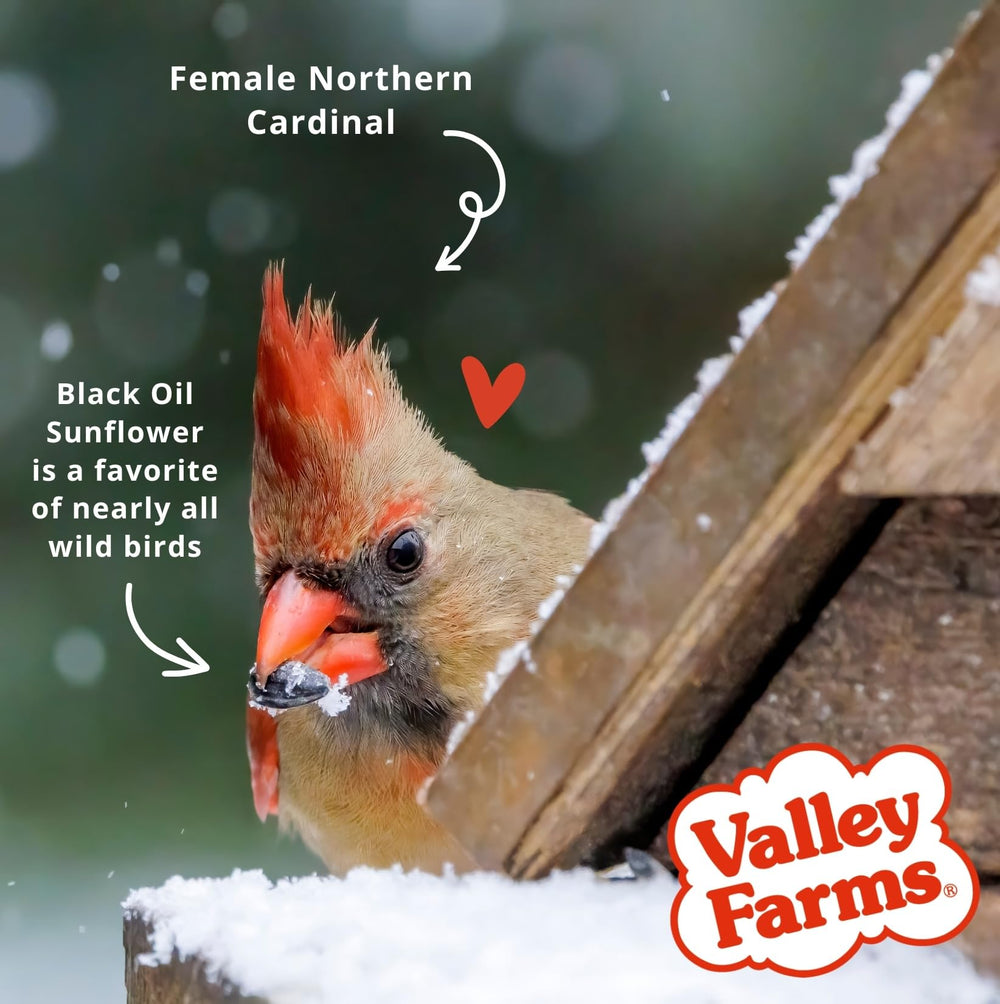 Valley Farms bag label close-up with USA flag, emphasizes domestic production