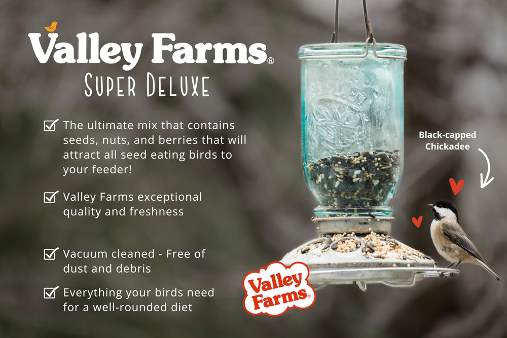 Label and 15 lb bag of Valley Farms Super Deluxe illustrating quantity and quality