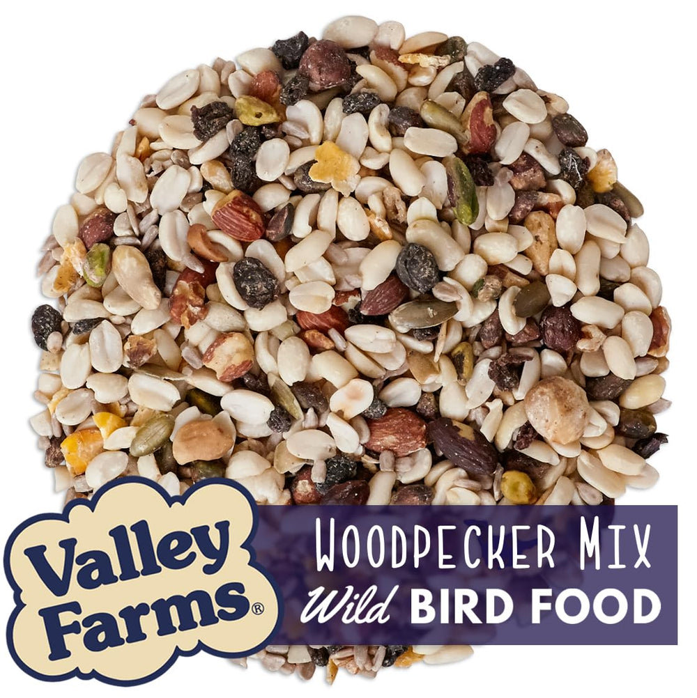 Valley Farms close-up of sunflower hearts highlighting energy-rich pieces