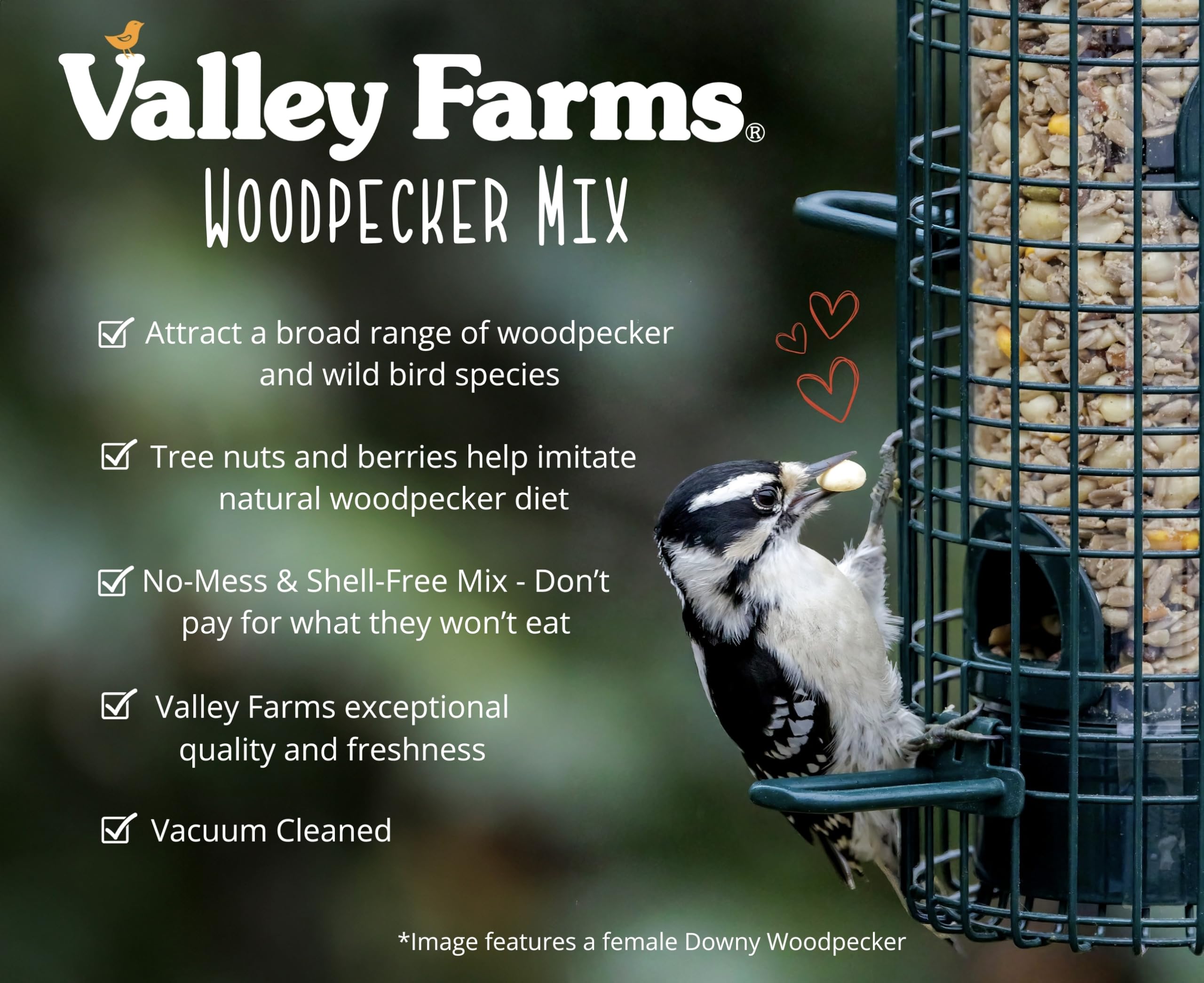 Valley Farms nut pieces macro revealing texture and bird appeal