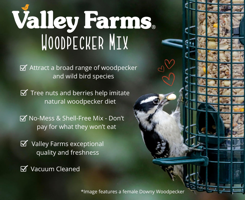 Valley Farms nut pieces macro revealing texture and bird appeal