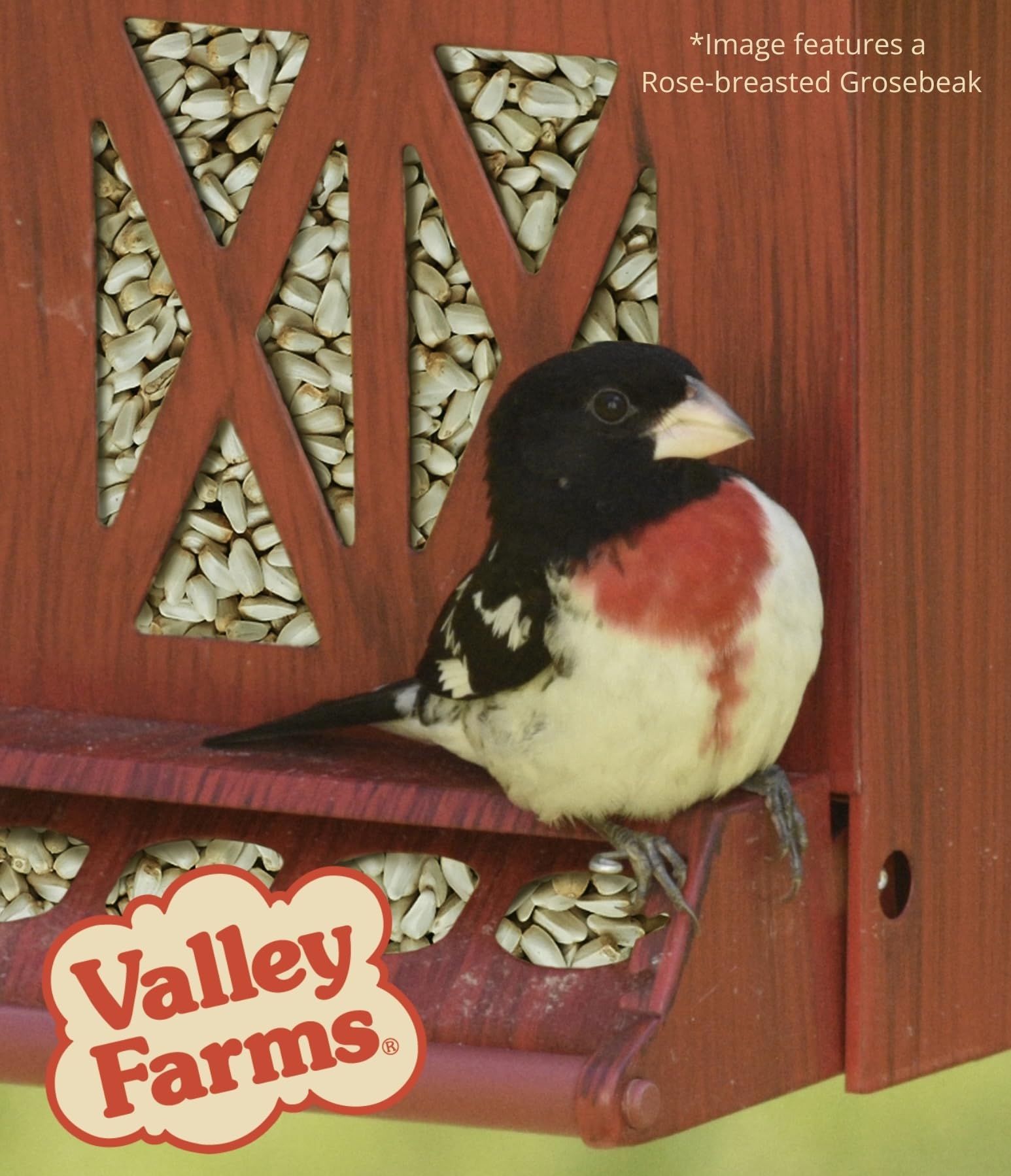 Valley Farms feeder in backyard scene, lifestyle benefit of consistent bird visits