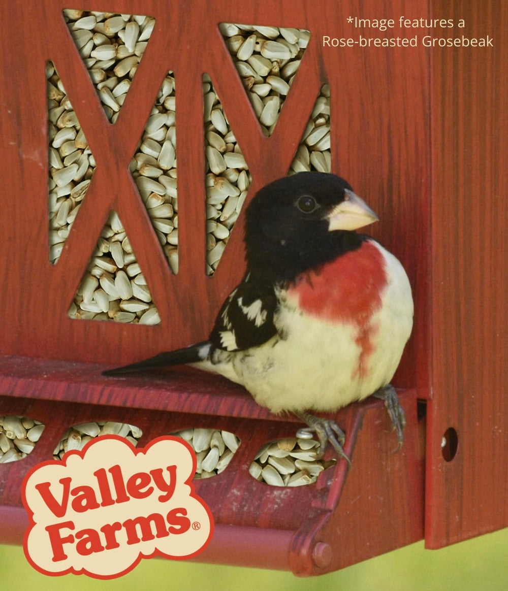Valley Farms feeder in backyard scene, lifestyle benefit of consistent bird visits