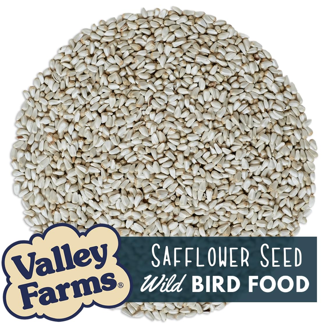 Valley Farms safflower seed close-up showing clean kernels and feeding appeal