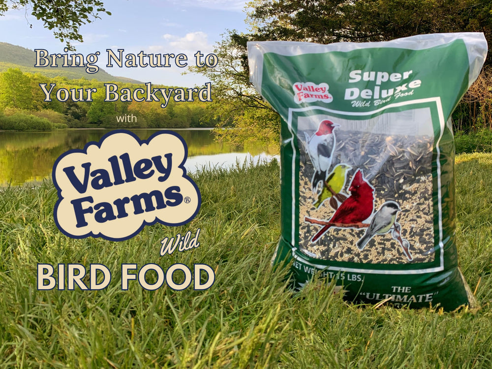 15 lb Valley Farms bag beside a common household item showing accurate scale
