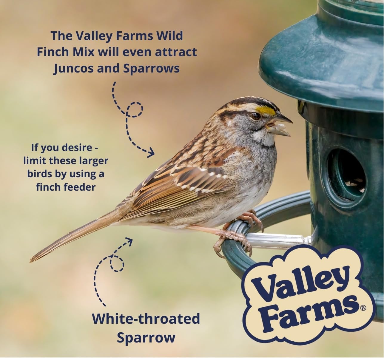 Valley Farms seed on feeder tray showing reduced waste and easy maintenance