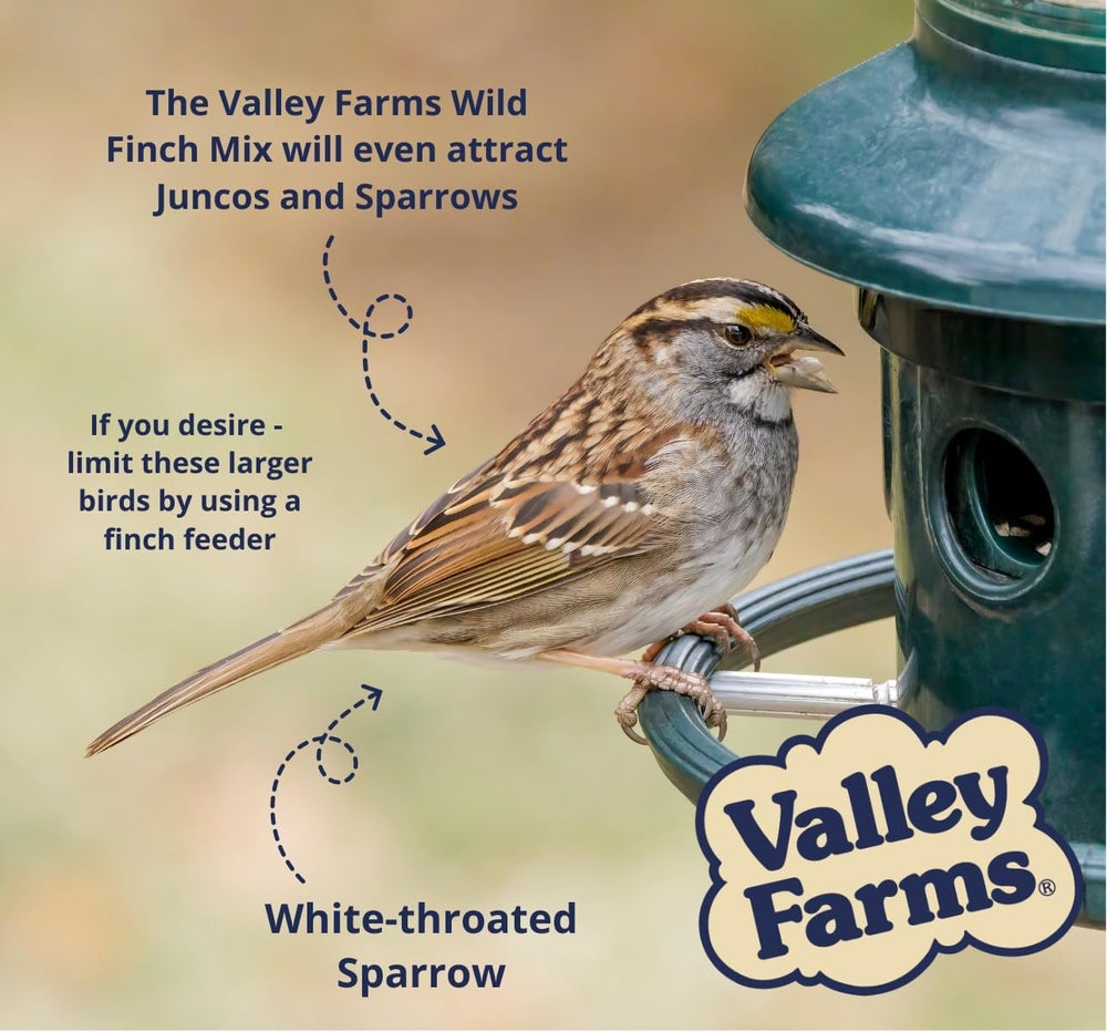 Valley Farms seed on feeder tray showing reduced waste and easy maintenance