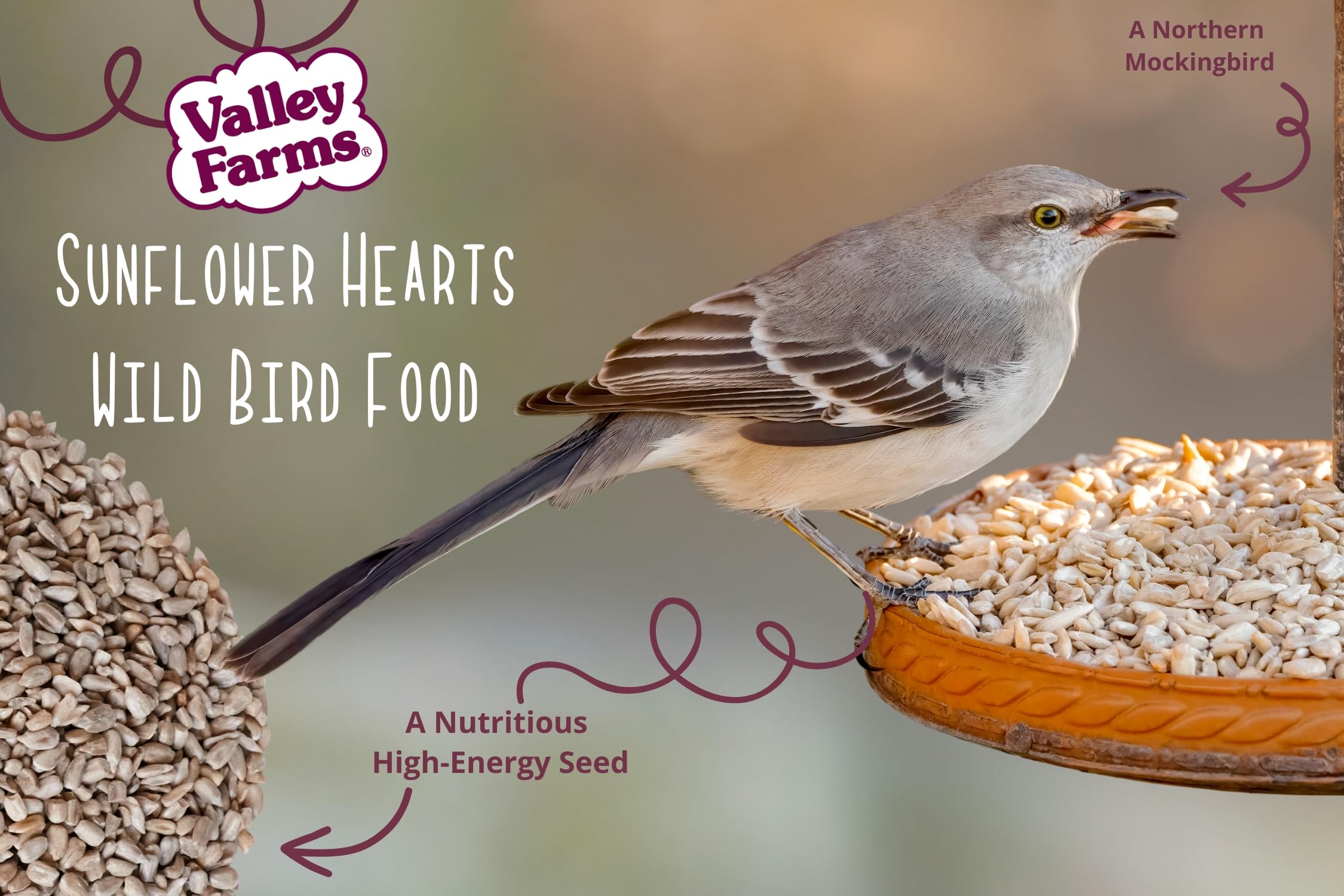 Valley Farms kernel texture and shape close-up highlighting clean shelled quality
