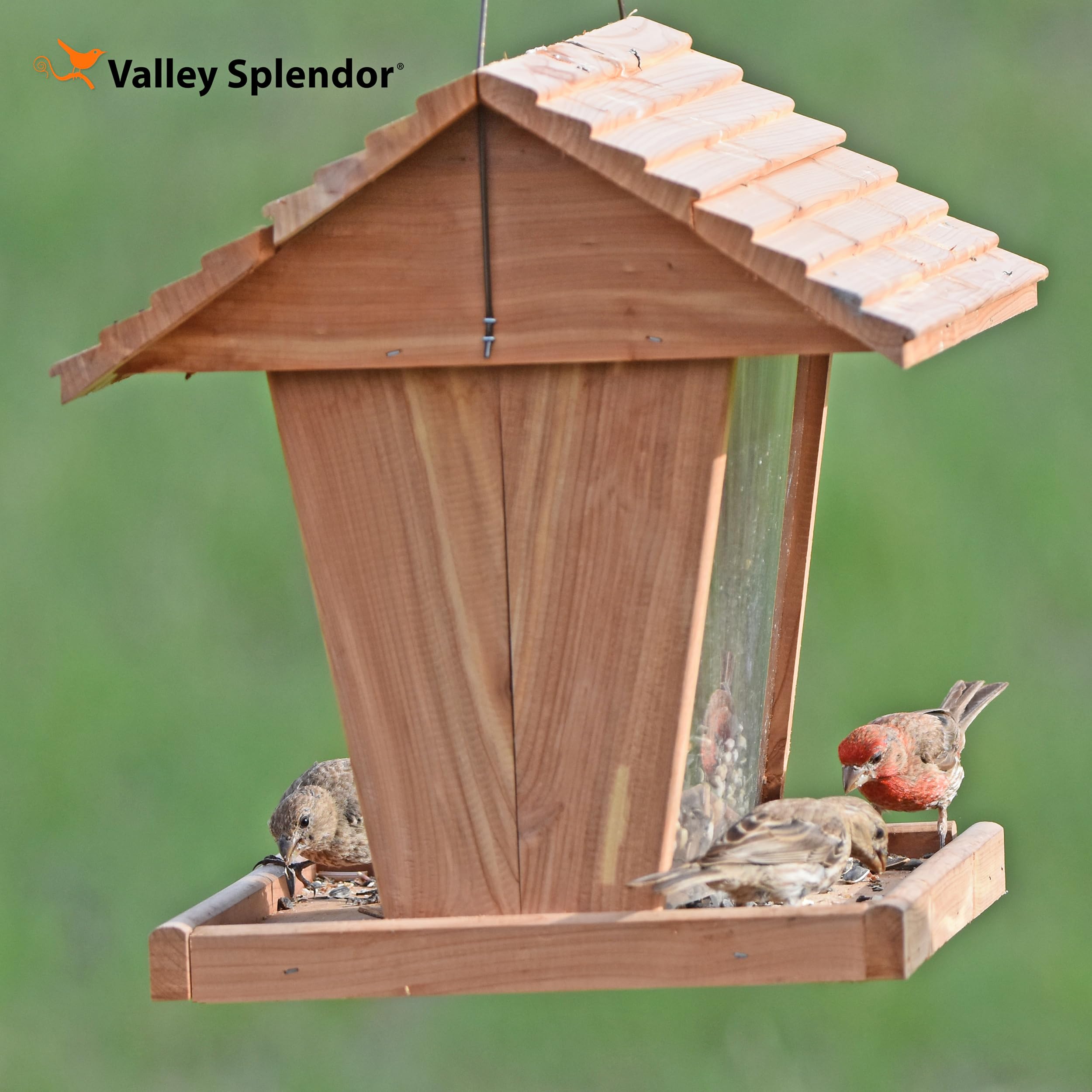 Valley Splendor feeder underside showing drain holes that keep seed dry