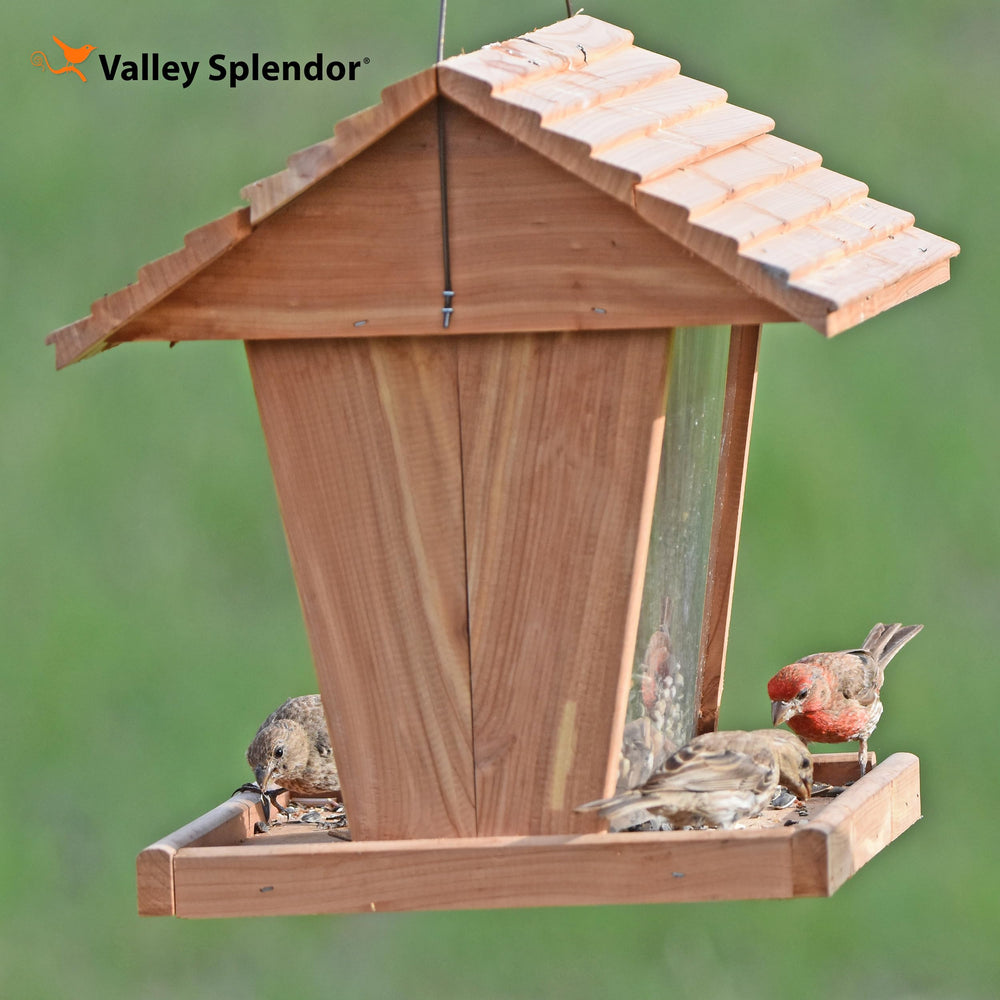 Valley Splendor feeder underside showing drain holes that keep seed dry