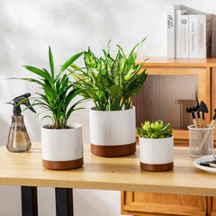 vancasso accessories mesh filter and silicone plug laid out benefit: tidy plant care