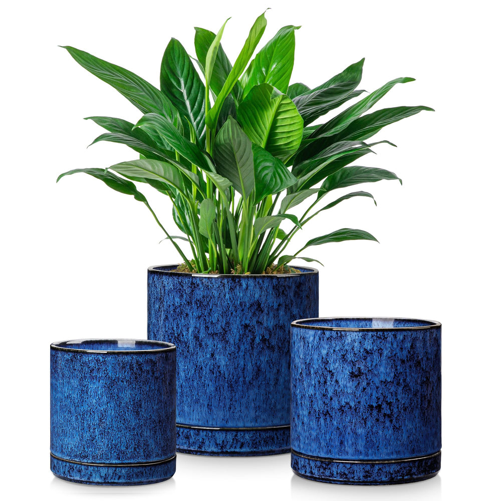 vancasso front view of three blue ceramic planters showing modern design and balance