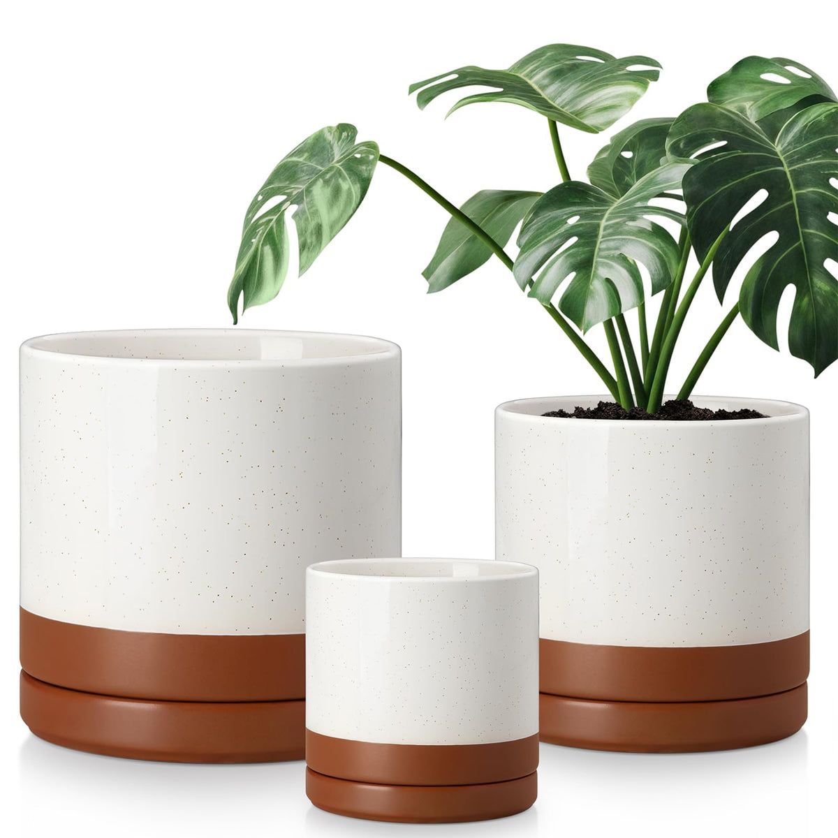 vancasso front view of three khaki ceramic planters showing elegant silhouette and tidy styling