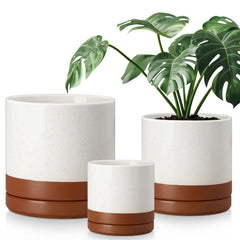vancasso front view of three khaki ceramic planters showing elegant silhouette and tidy styling