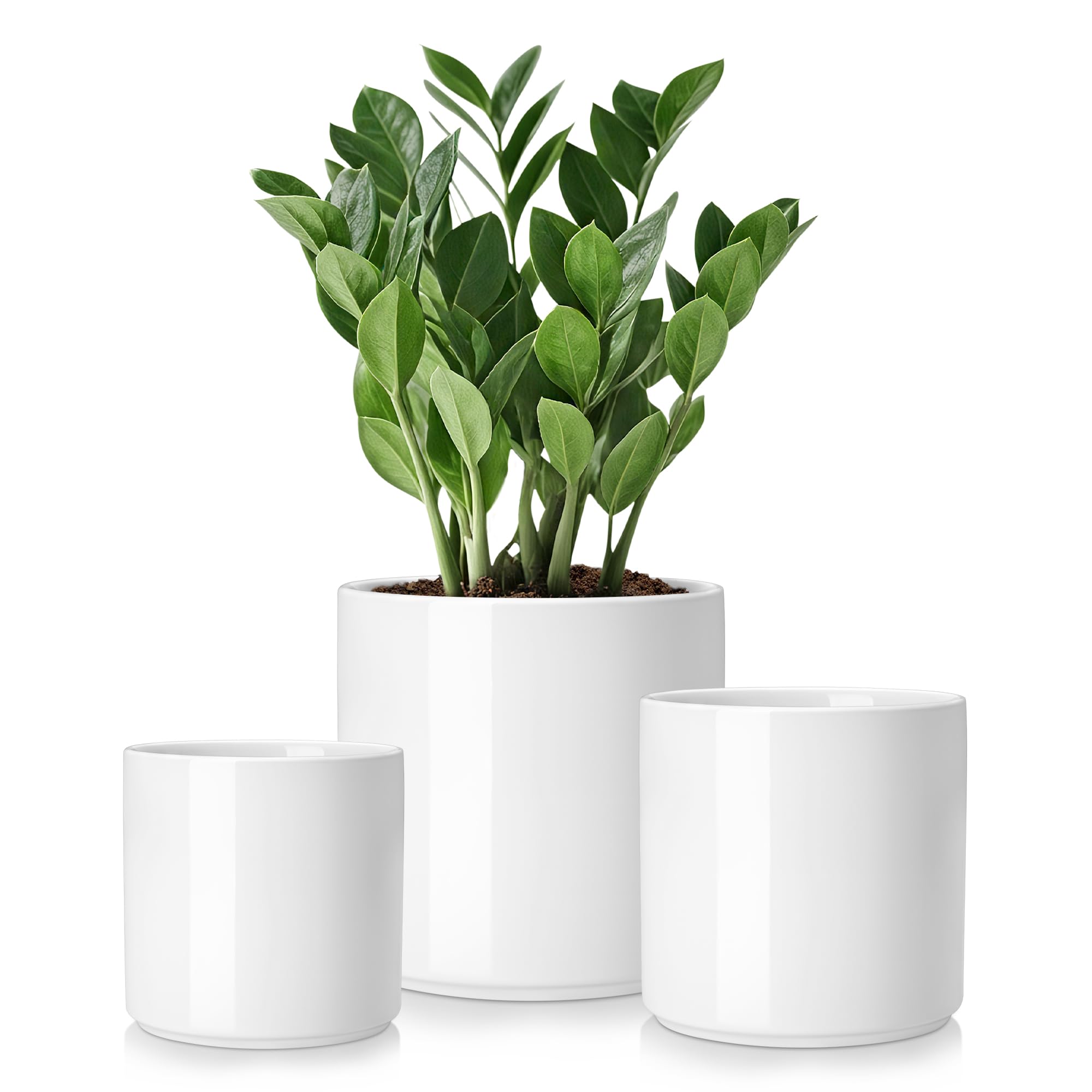 vancasso front view of three white ceramic pots showing sizes and clean design