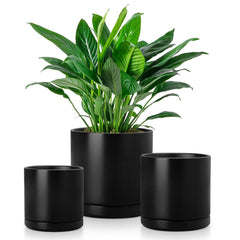vancasso front view black planters showing modern minimalist design and stylish look