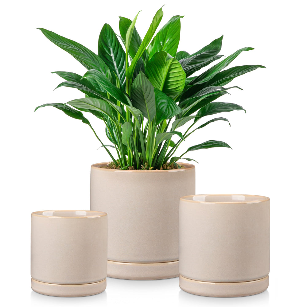 vancasso front view of three gray ceramic planters showing minimalist look and cohesion