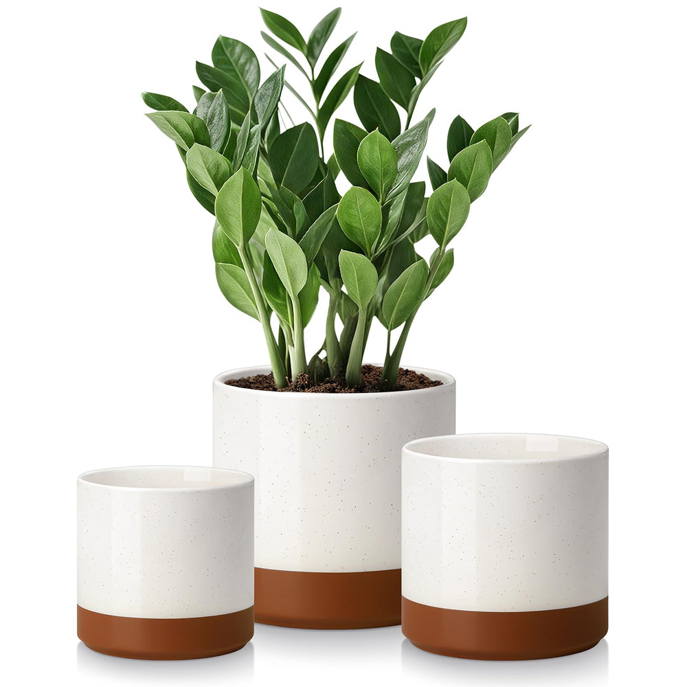 vancasso front view khaki set showing three pots and sleek design benefit: coordinated styling