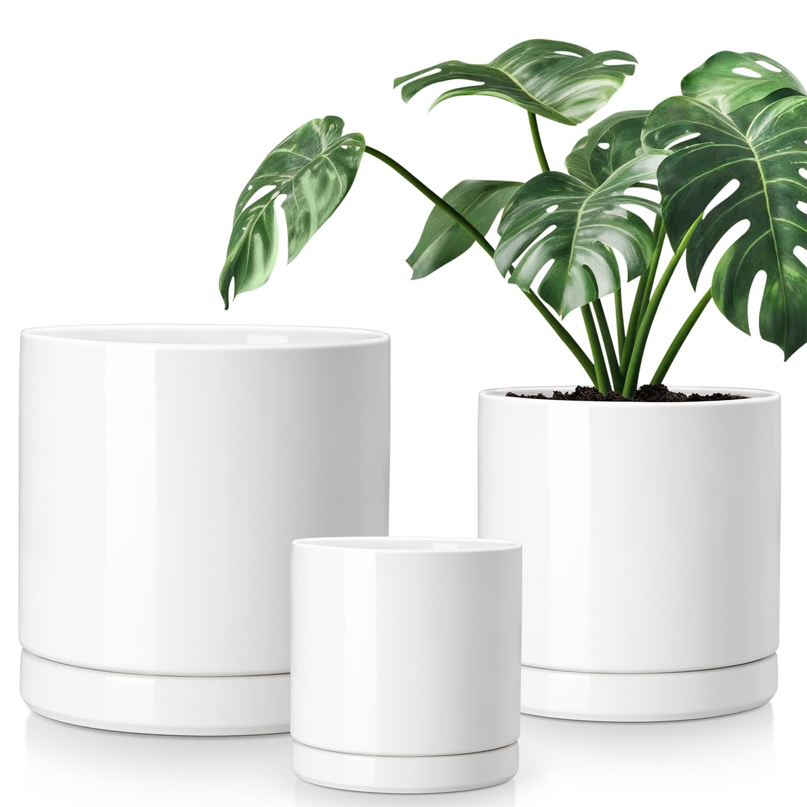 vancasso front view of three white ceramic planters showing clean modern look and coordination