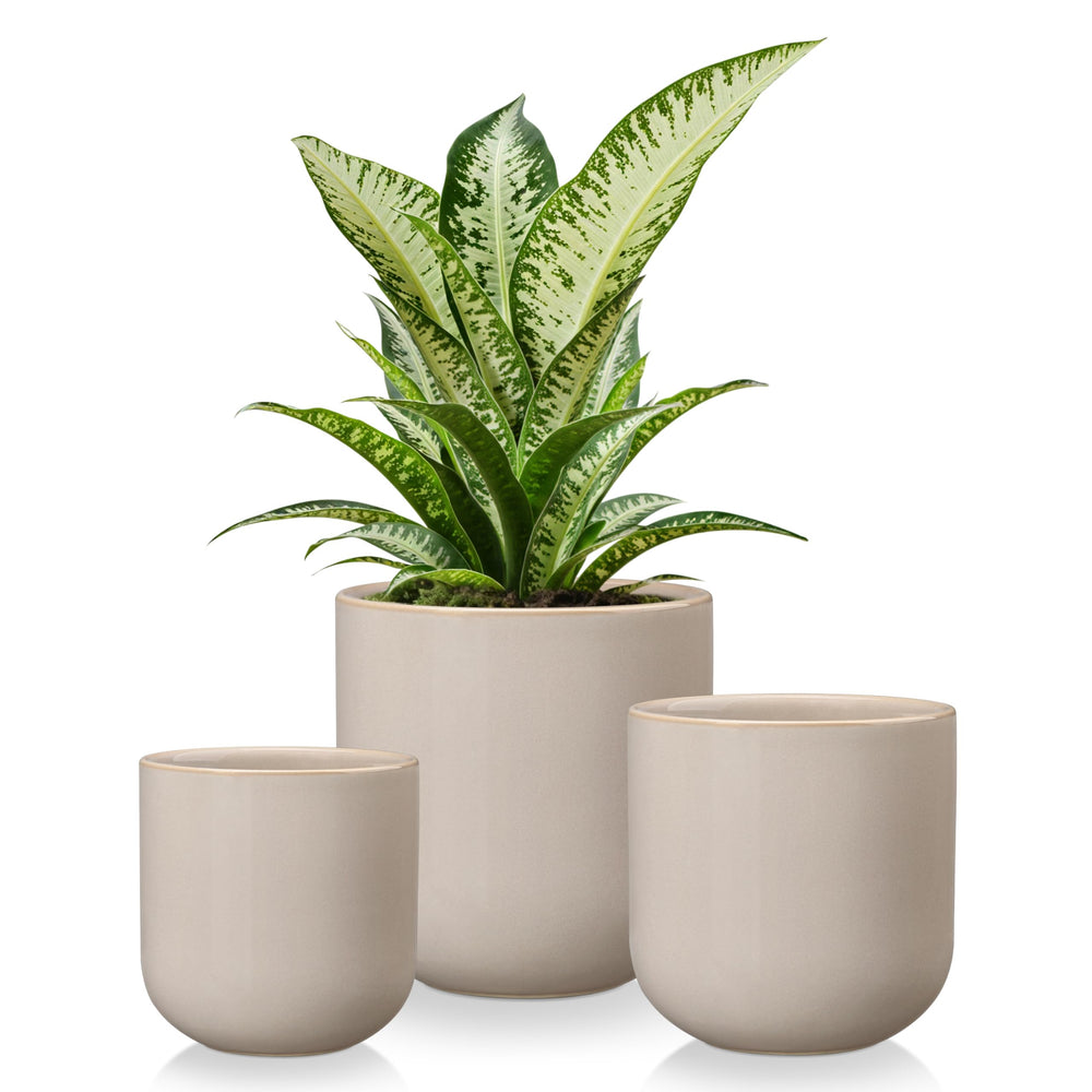 vancasso front view of three gray ceramic planters showing clean modern shape and style benefits