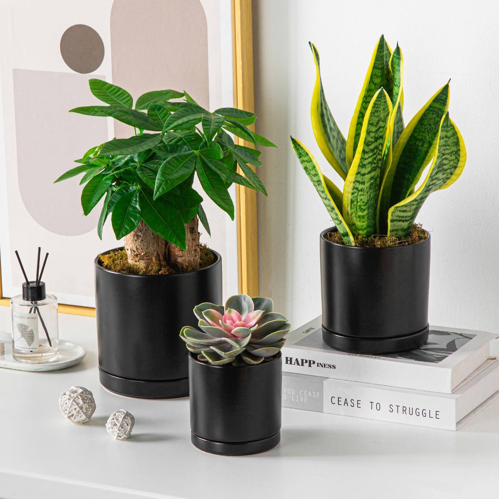 vancasso large planter with snake plant illustrating room for fuller foliage