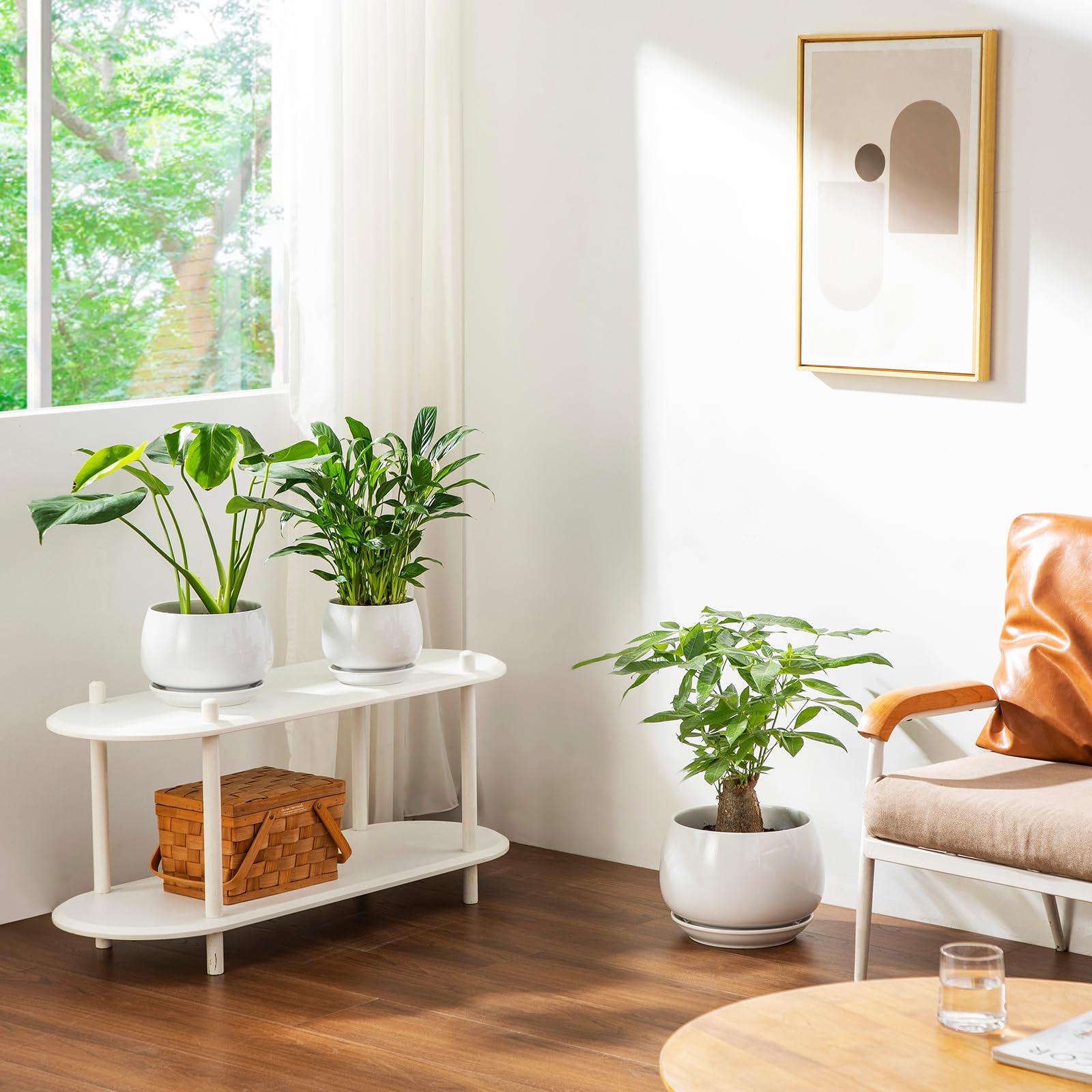 vancasso lifestyle kitchen window display brightening indoor plants