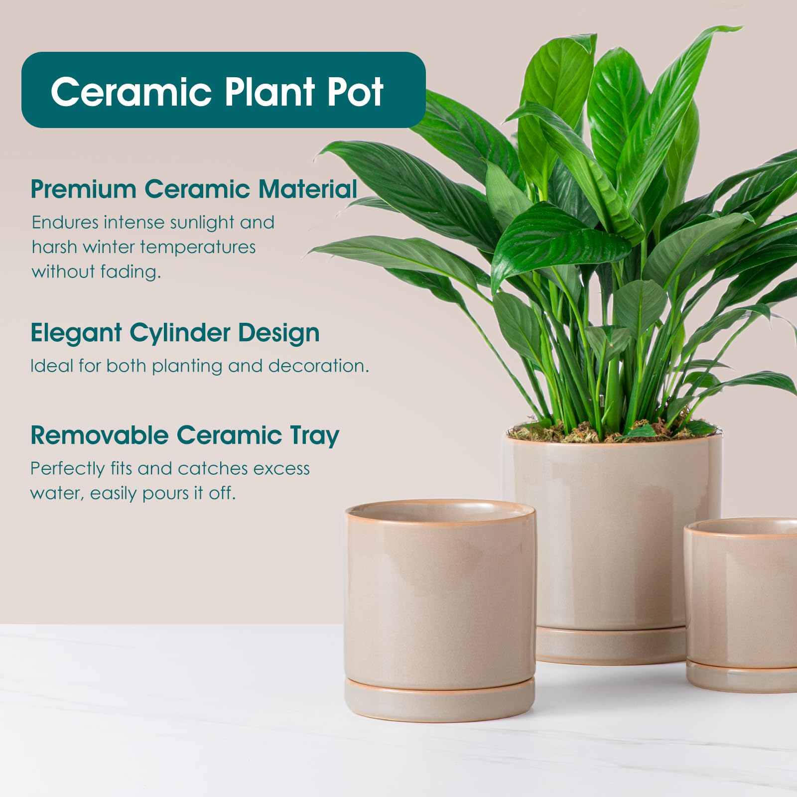 vancasso planters styled on shelf showing modern décor harmony and visual appeal