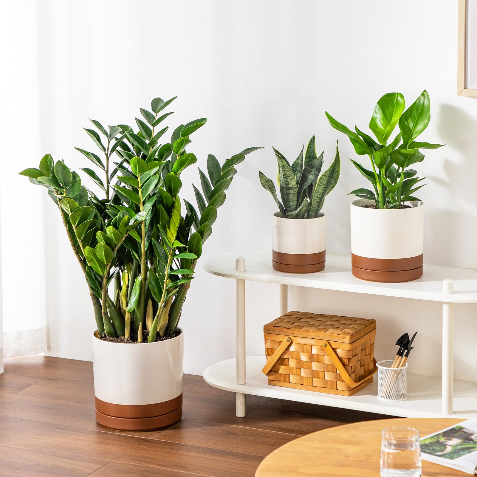 vancasso secure recyclable packaging with cushioning ensuring damage-free delivery