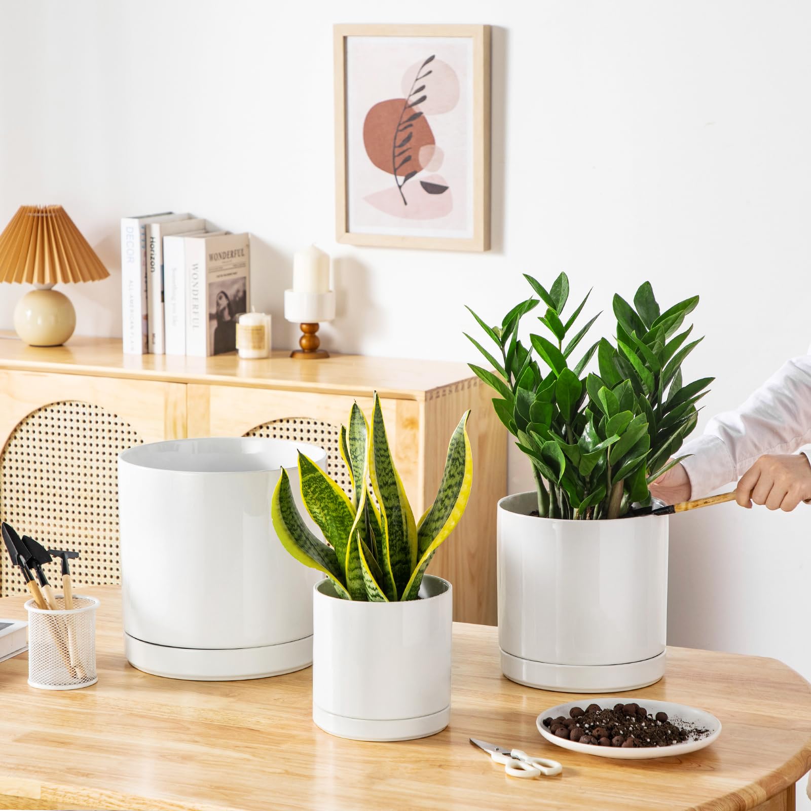 vancasso planter on windowsill with plant illustrating light-friendly indoor placement