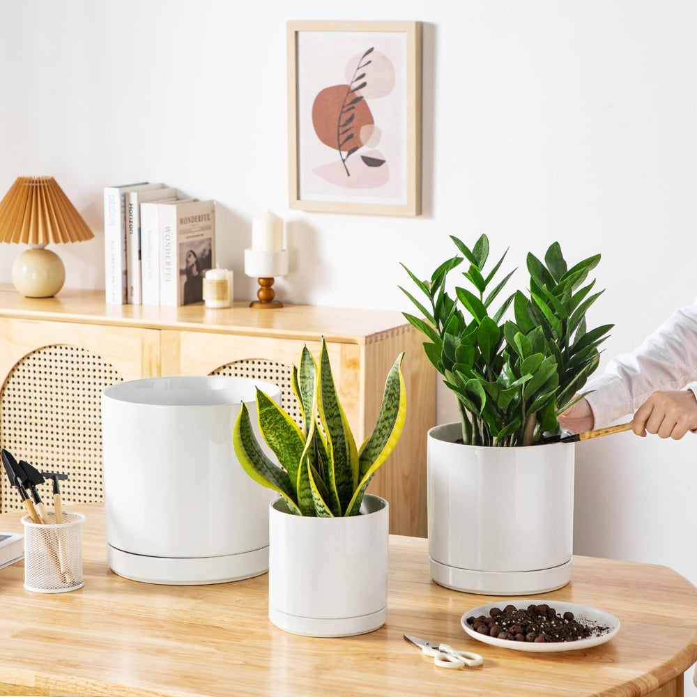 vancasso planter on windowsill with plant illustrating light-friendly indoor placement