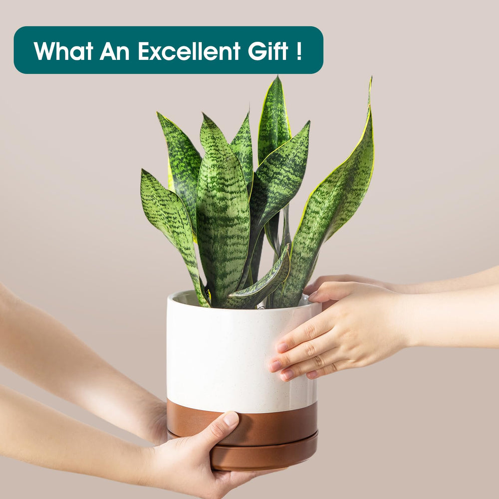 vancasso three planters arranged on a shelf demonstrating versatile indoor placement
