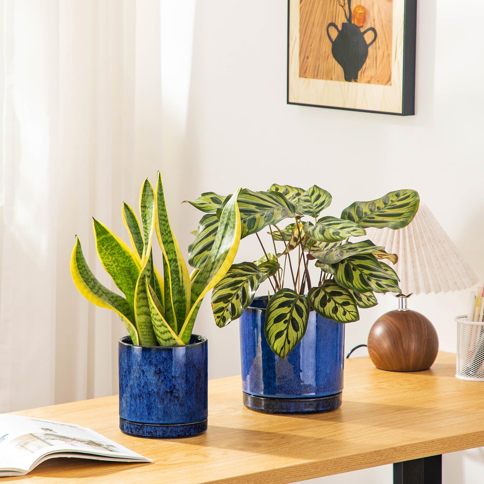 vancasso planters on a bright windowsill demonstrating plant placement benefits