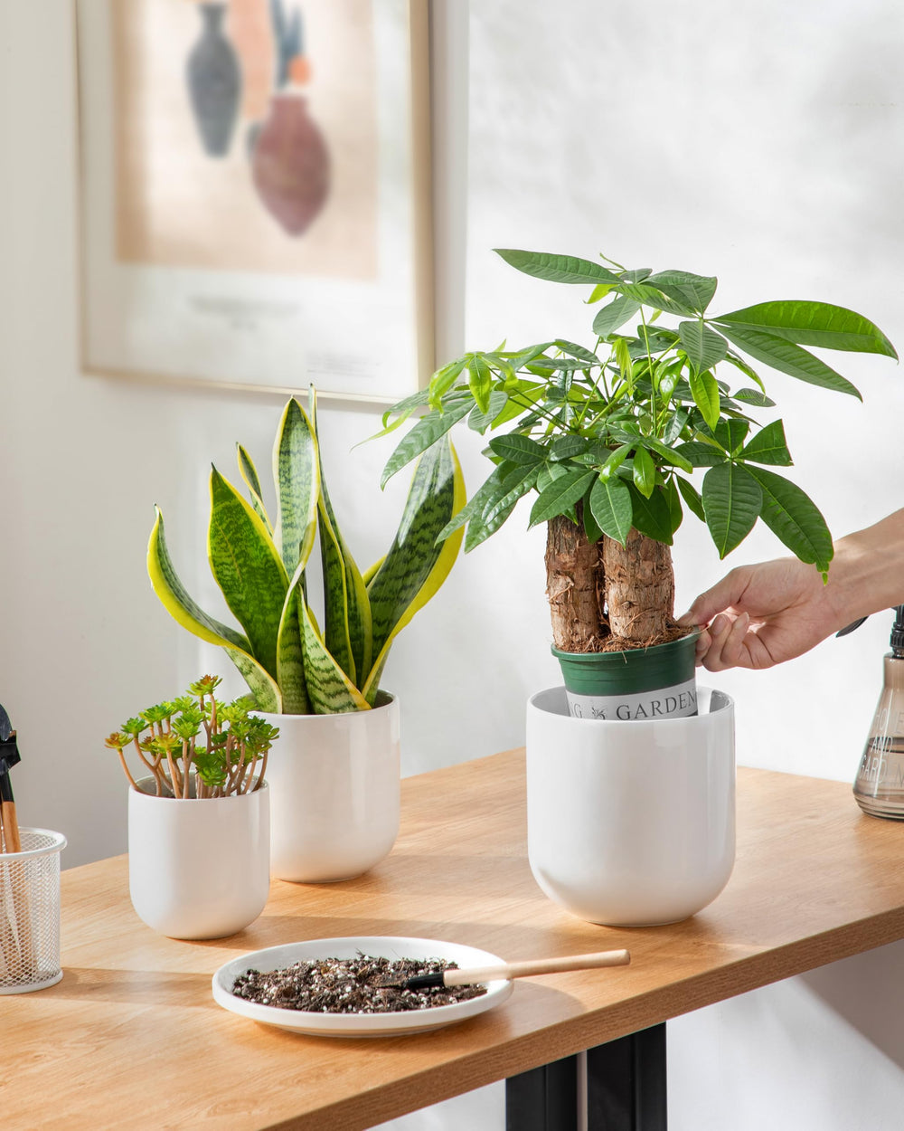 vancasso planters styled on a shelf adding minimalist home warmth