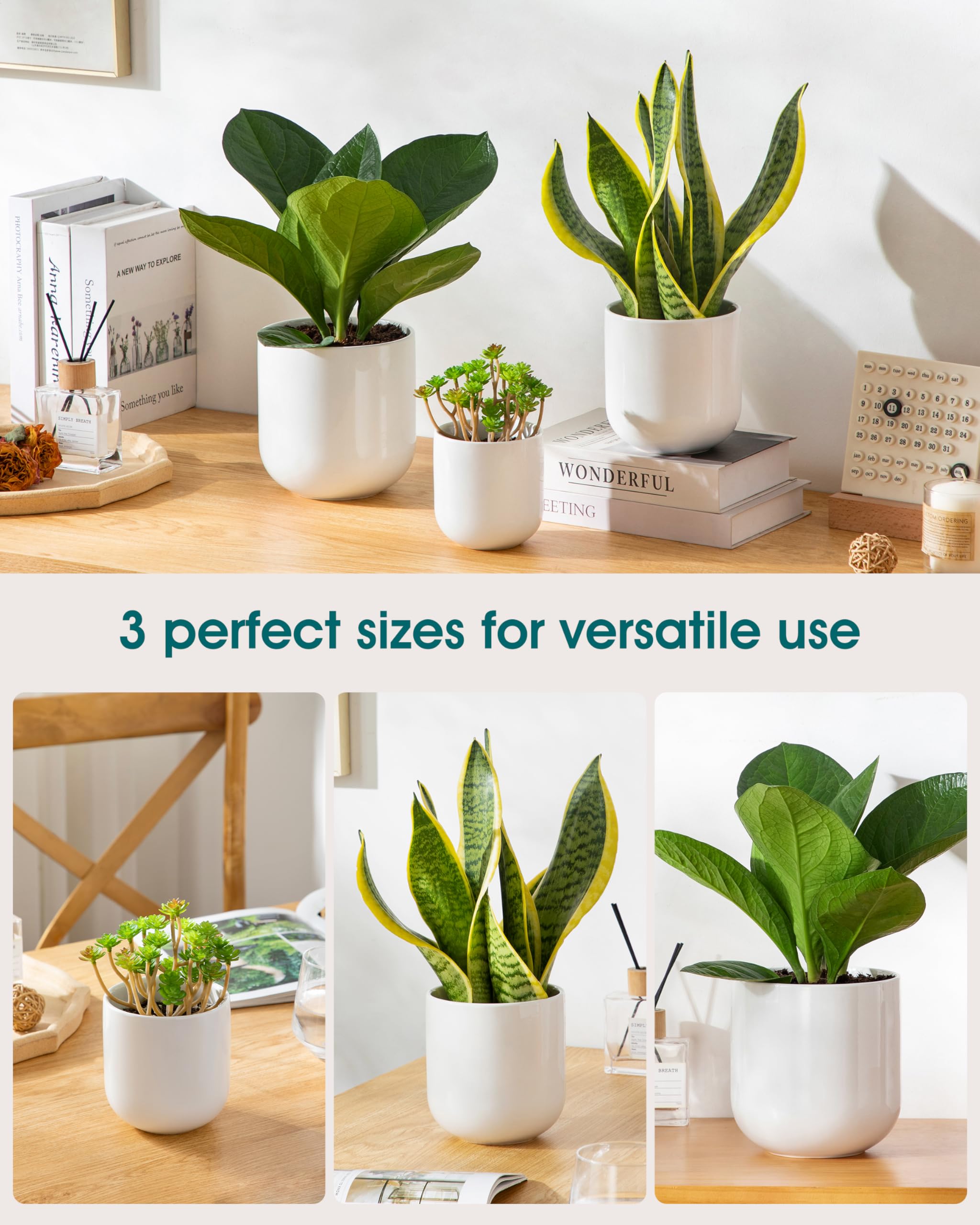 vancasso pots shown in hand for size comparison and scale