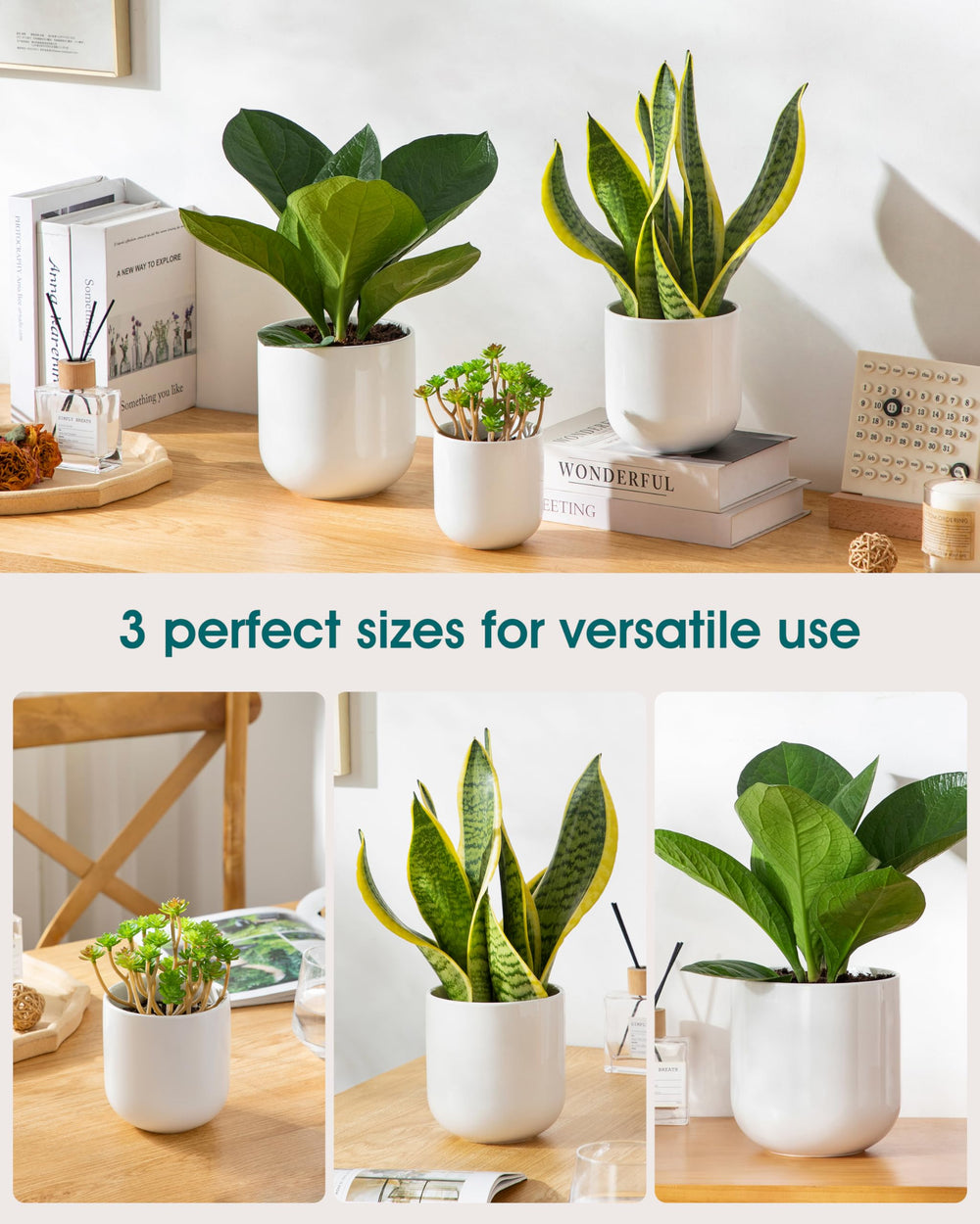 vancasso pots shown in hand for size comparison and scale