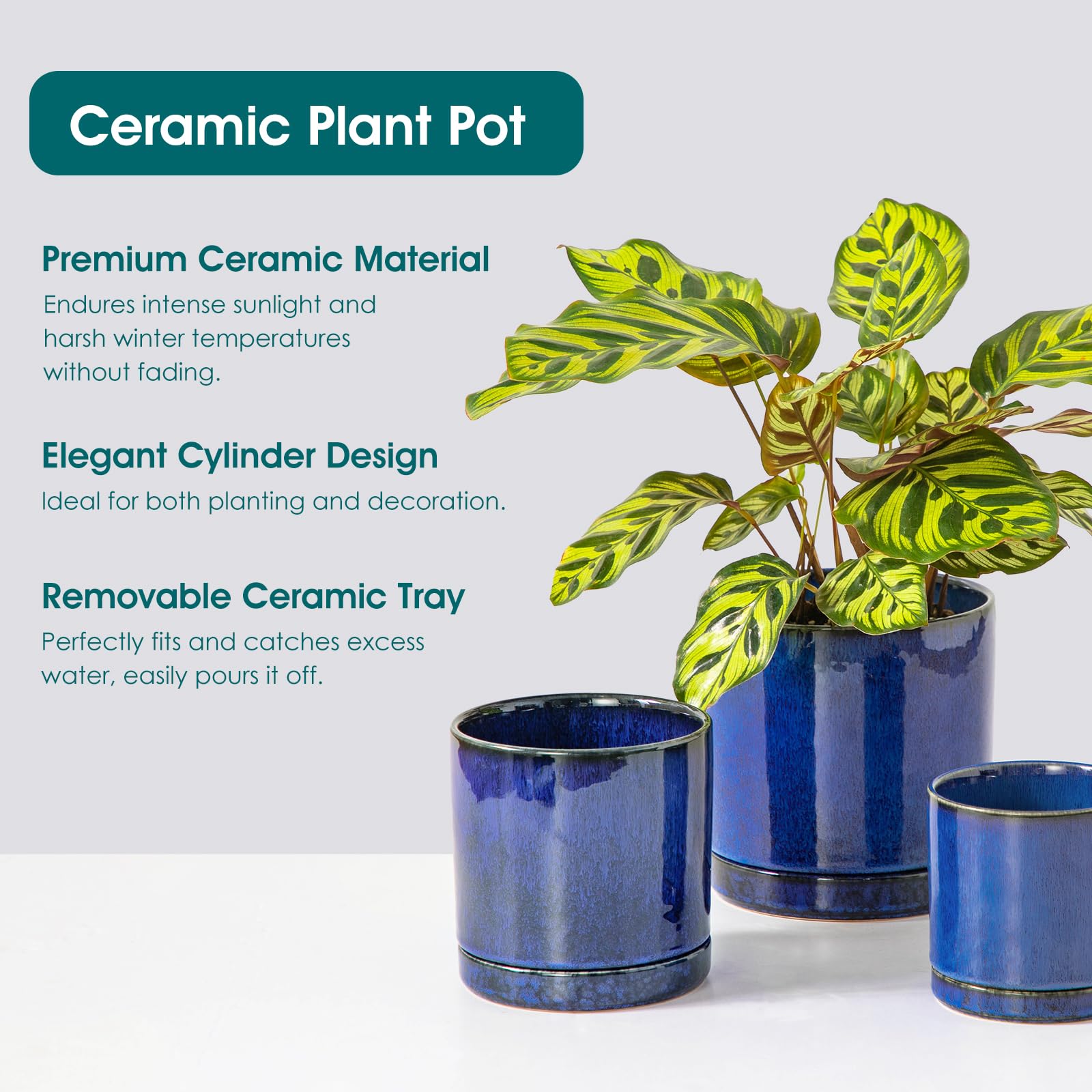 vancasso three planters side-by-side showing size differences for plant selection