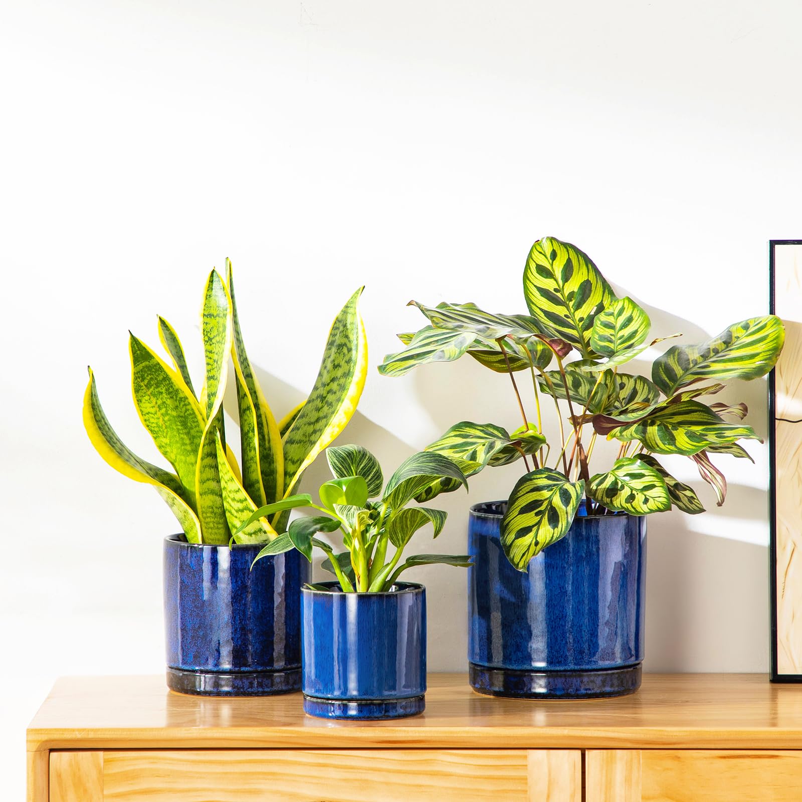 vancasso styled shelf view showing layered planters enhancing room aesthetics