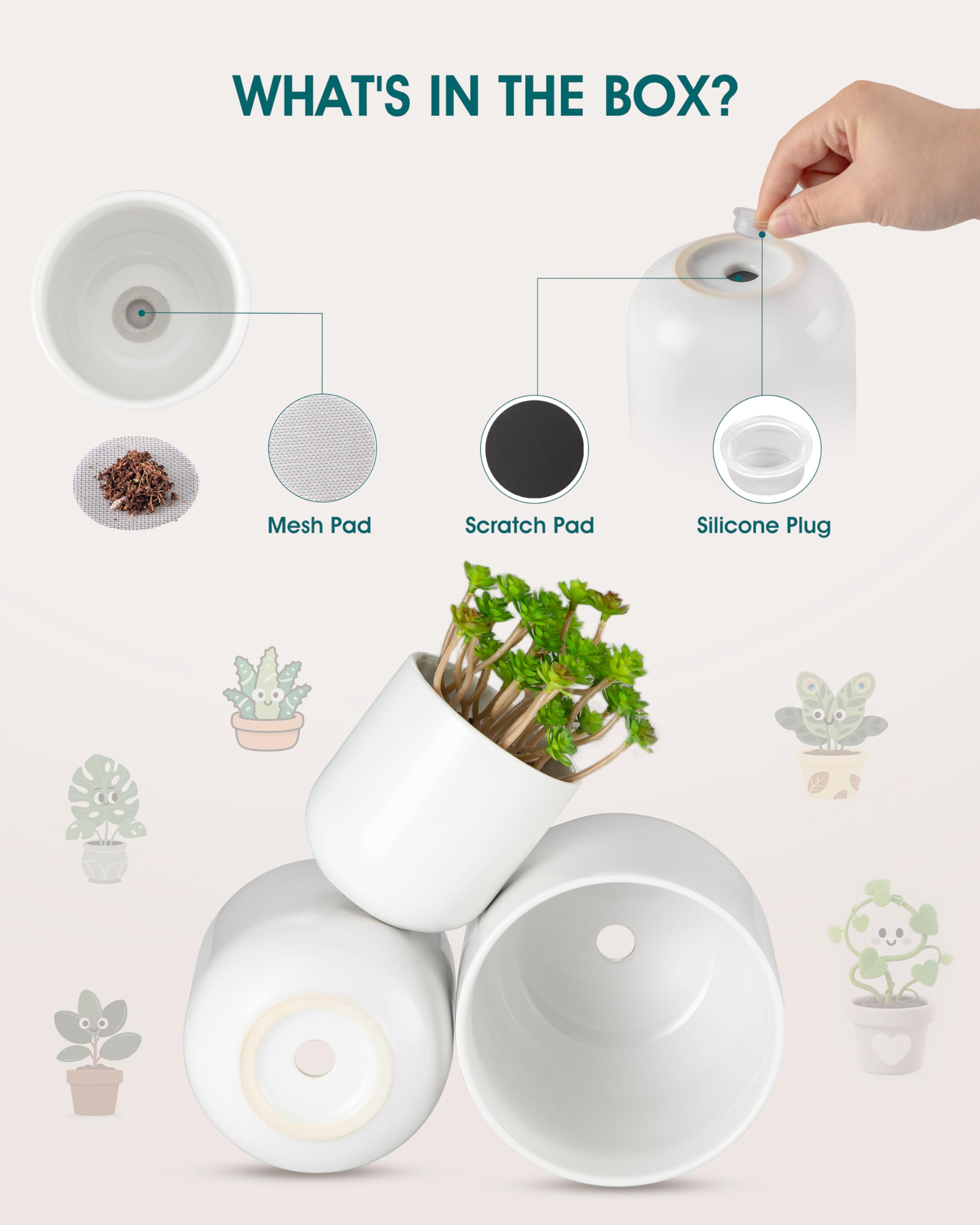 vancasso planters staged on a windowsill with succulents for bright decor