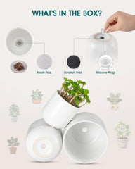 vancasso planters staged on a windowsill with succulents for bright decor