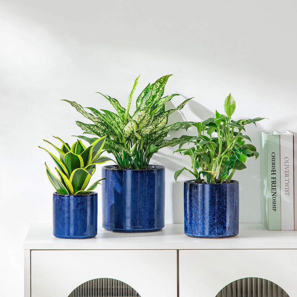vancasso planters with succulents in use on windowsill showing practical indoor styling benefit compact gardening
