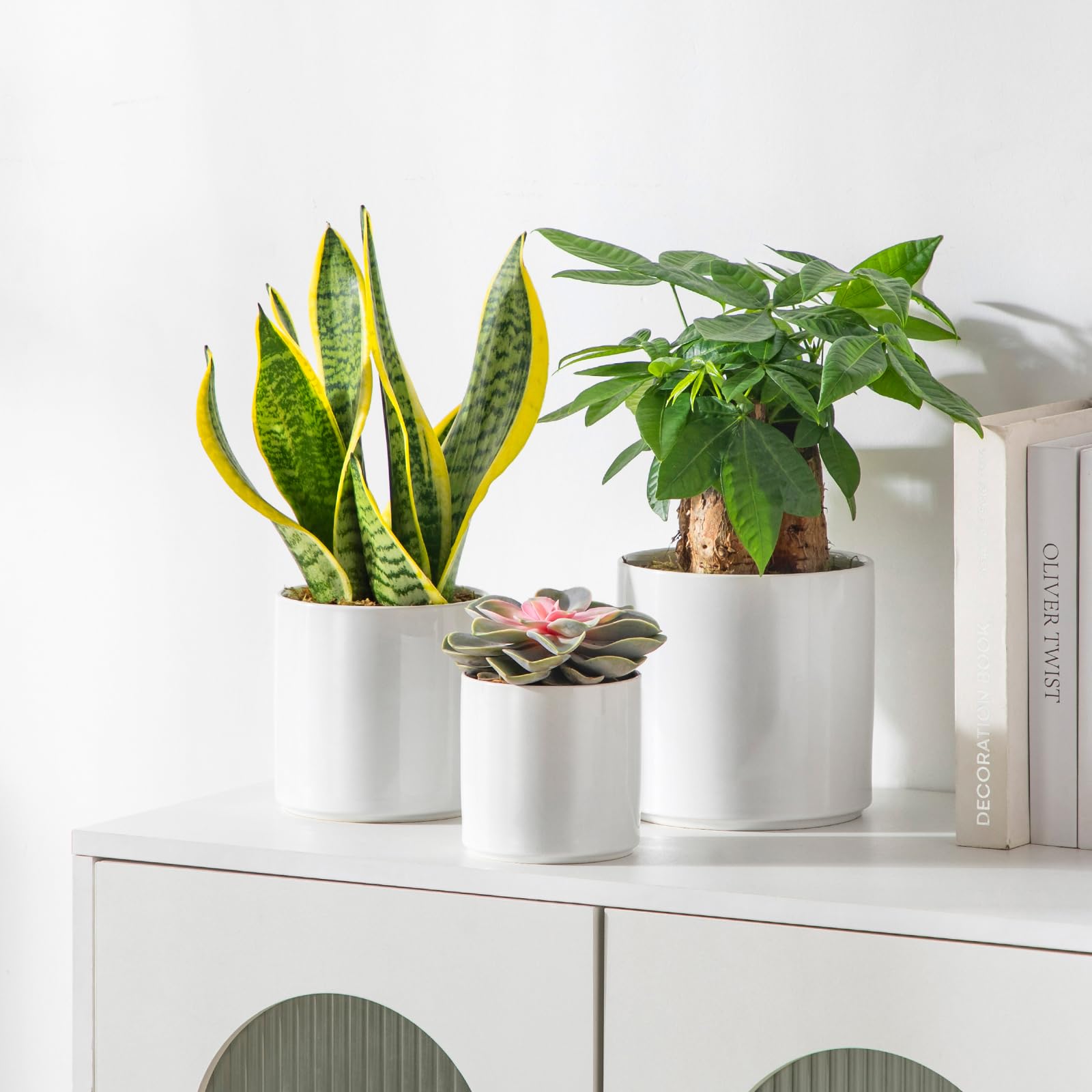 vancasso trio of planters with herbs and succulents on a sunny windowsill